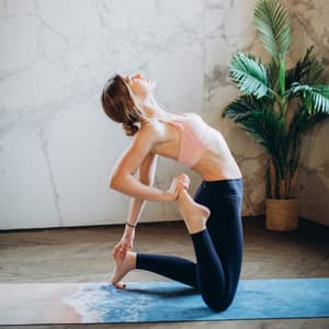 Relaxing Tunes for Yoga Serenity - Yoga Meditation Playlist