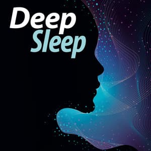 Deep Sleep - Deep Sleep Music Collective
