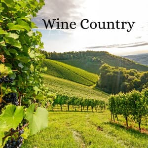 Wine Country - Tight Chill Creator