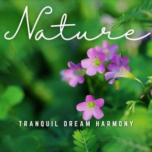 Acoustic Dreams: Echoes of Tranquility - Sleeping Ember