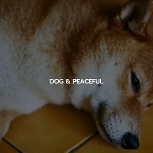 DOG & PEACEFUL - Jazz Ambiente