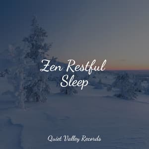Zen Restful Sleep - Natural Sound Makers