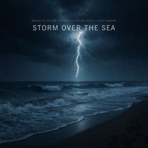 Storm over the Sea - Noises of Nature