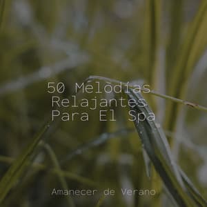 50 Melodías Relajantes Para El Spa - Canciones de Cuna para Bebés Acadèmico