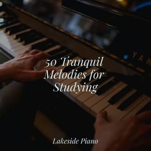 50 Tranquil Melodies for Studying - SD