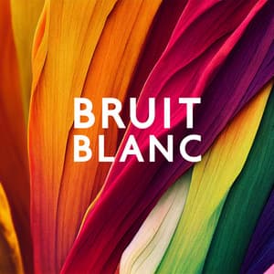 Bruit blanc, Bruit vert, Bruit rose, Bruit brun, Bruit jaune, Bruit rouge - Bruits naturels
