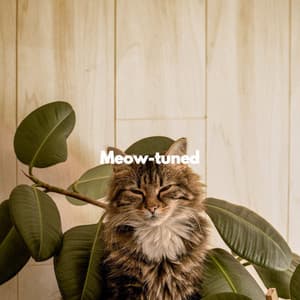 Meow-tuned - Soothing Cat Music