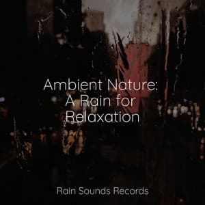 Ambient Nature: A Rain for Relaxation - Chillout Lounge