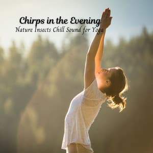 Chirps in the Evening: Nature Insects Chill Sound for Yoga - Night Crickets