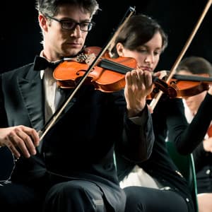 Calm Reflections: Symphony for Meditation - Charles Anderson