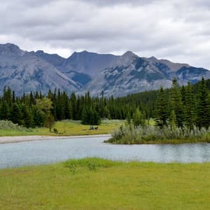 Nature Melodies | Chilling Out - Deep Focus