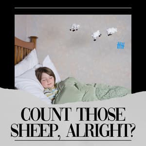 Count Those Sheep, Alright? - Deep Sleep Background Noise