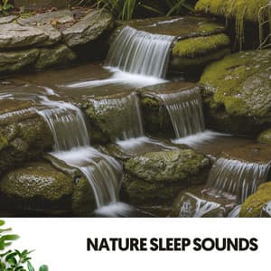 Nature Sleep Sounds: Harmony of the Earth's Lullabies - Dog Relaxation
