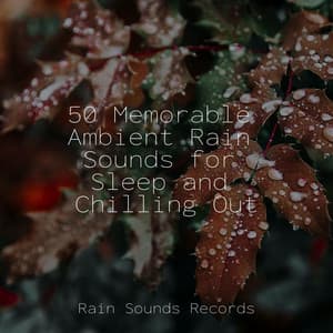 50 Memorable Ambient Rain Sounds for Sleep and Chilling Out - Relax Meditate Sleep