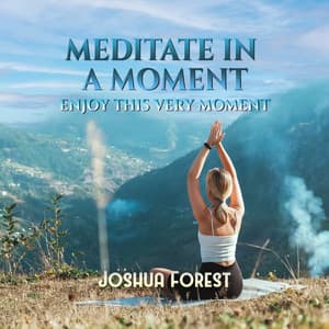 Meditate in a Moment: Enjoy This Very Moment, Mental Health Expert for Slowing Thoughts & Returning to Present, Living in the Present Mindfulness Meditation - Joshua Forest
