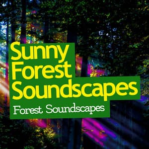 Sunny Forest Soundscapes - Forest Soundscapes