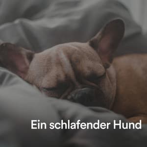 Ein schlafender Hund - Entspannende Musik für Hunde