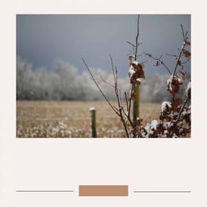 Relaxing Rituals - Playful - Vintage Cafe Vintage