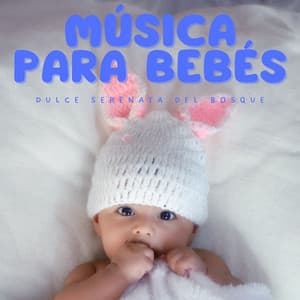 Música para Bebés: Dulce Serenata del Bosque - Musica del bosque