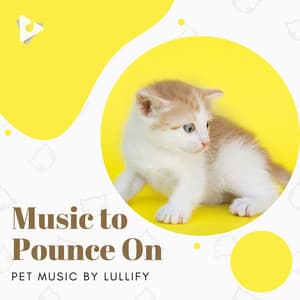 Music to Pounce On - Pet Music by Lullify