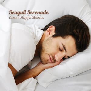Seagull Serenade: Ocean's Sleepful Melodies - Waveseekers