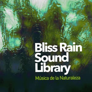 Bliss Rain Sound Library - Música de la Naturaleza