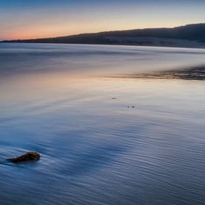 50 Ambient Ocean Songs: Harmonic Rest - Sea Waves Sounds