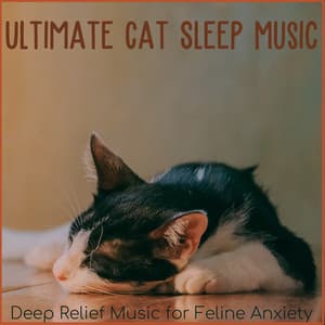 Ultimate Cat Sleep Music: Deep Relief Music for Feline Anxiety - RelaxMyCat