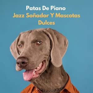 Patas De Piano: Jazz Soñador Y Mascotas Dulces - PianoSueños