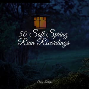 50 Soft Spring Rain Recordings - Academia de Meditação Buddha