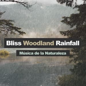 Bliss Woodland Rainfall - Música de la Naturaleza