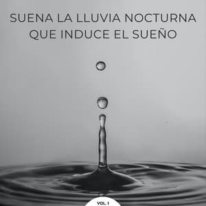 Suena La Lluvia Nocturna Que Induce El Sueño Vol. 1 - Lluvia Ruido Dormir