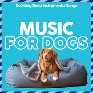 Music For Dogs - Soothing Sleep Instrumental Songs - Dog Music
