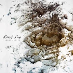 Tactile Ground - Robert Rich