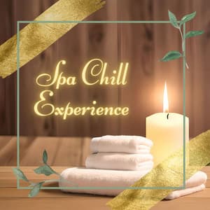 Spa Chill Experience: Luxury Wellness & Relaxation Tracks - Cafe Chillout de Ibiza