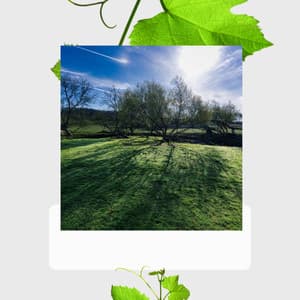 Self Care Days - Soft Alternative Lounge Jazz