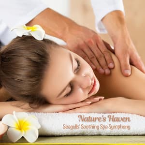 Nature's Haven: Seagulls' Soothing Spa Symphony - Beach Wave Explosion