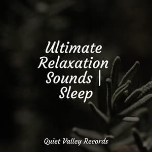 Ultimate Relaxation Sounds | Sleep - Rainfall