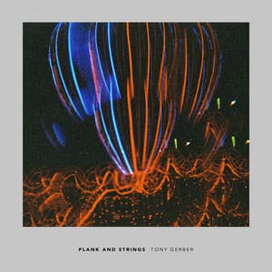 Plank and Strings - Tony Gerber