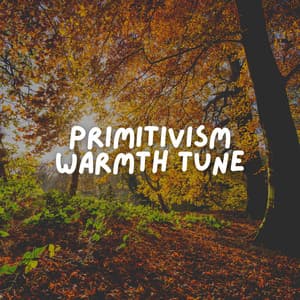 Primitivism Warmth Tune - Lofi Sad