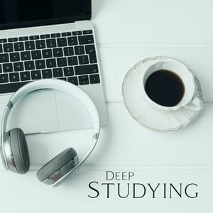 Deep Studying: Music for Focus, Relieve Stress Before Exams, Study for Success - Brain Study Music Guys