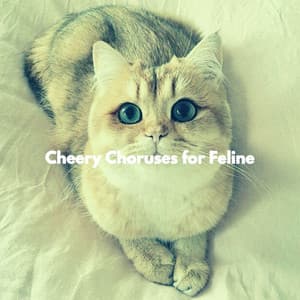 Cheery Choruses for Feline - Relaxing Study Music Vibes