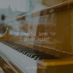 50 Powerful Songs for Stress Relief - Ivory Mood