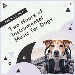 2 Hours of Instrumental Music for Dogs - Dog Music Hour