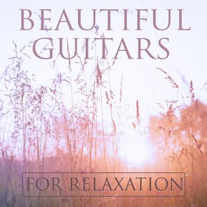 Beautiful Guitars For Relaxation - Guitar