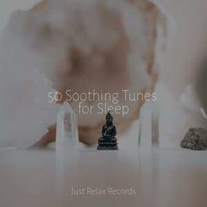 50 Soothing Tunes for Sleep - Study Hard