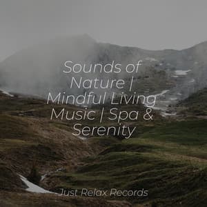 Sounds of Nature | Mindful Living Music | Spa & Serenity - Meditation Spa