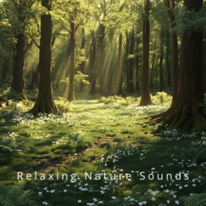 Nature's Embrace: Relaxation Through Sound - Relaxing Nature Sounds