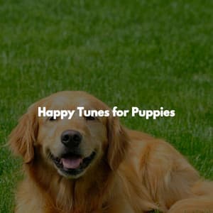 Happy Tunes for Puppies - Chill Lounge Hotel