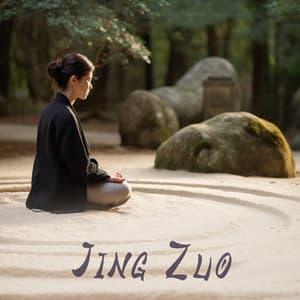 Jing Zuo: Confucian Meditation Music - Chinese Traditional Erhu Music